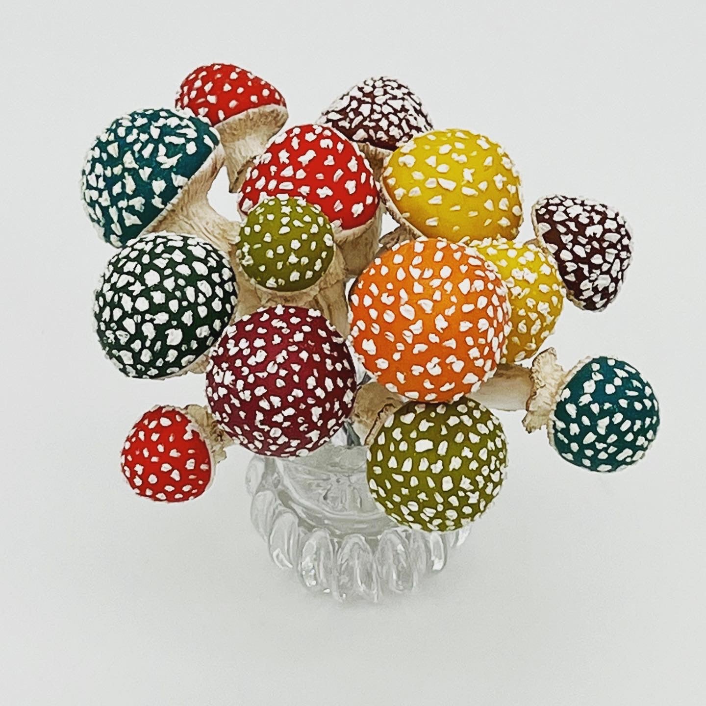 Amanita Mushrooms