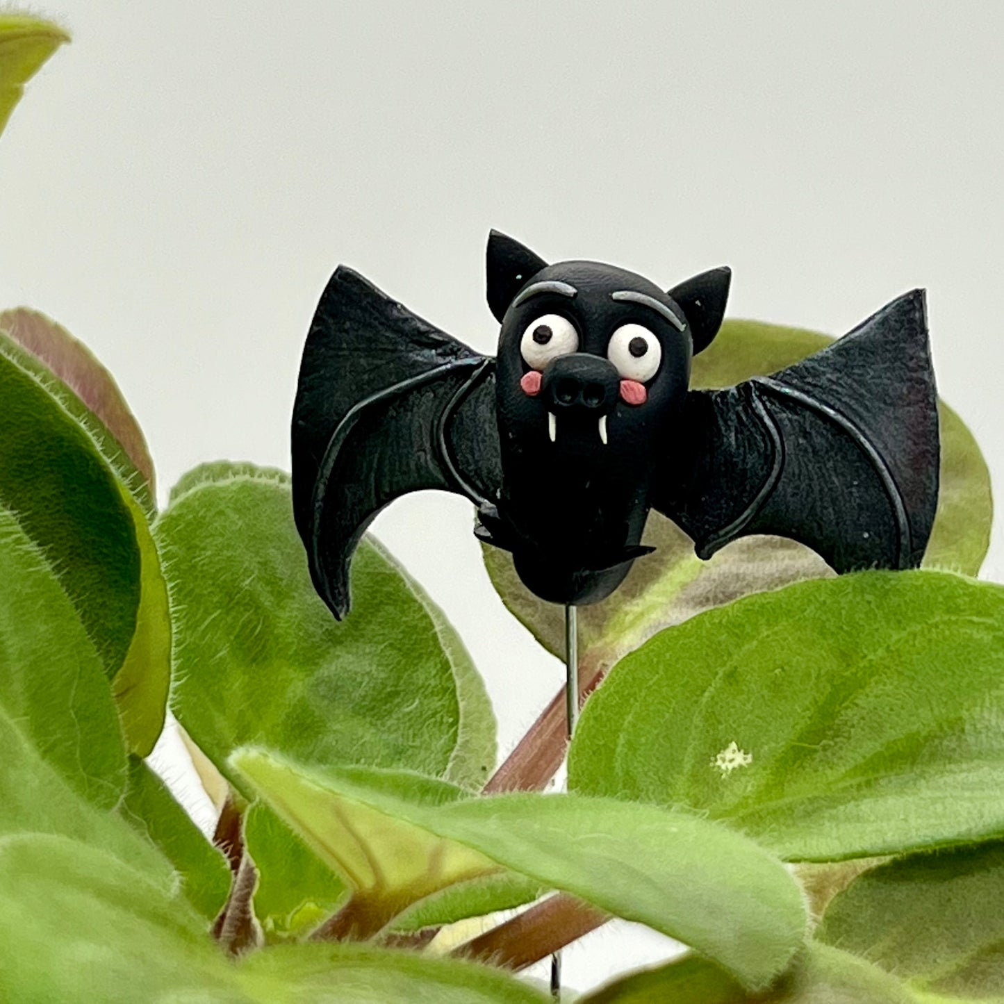 Vampire Bats
