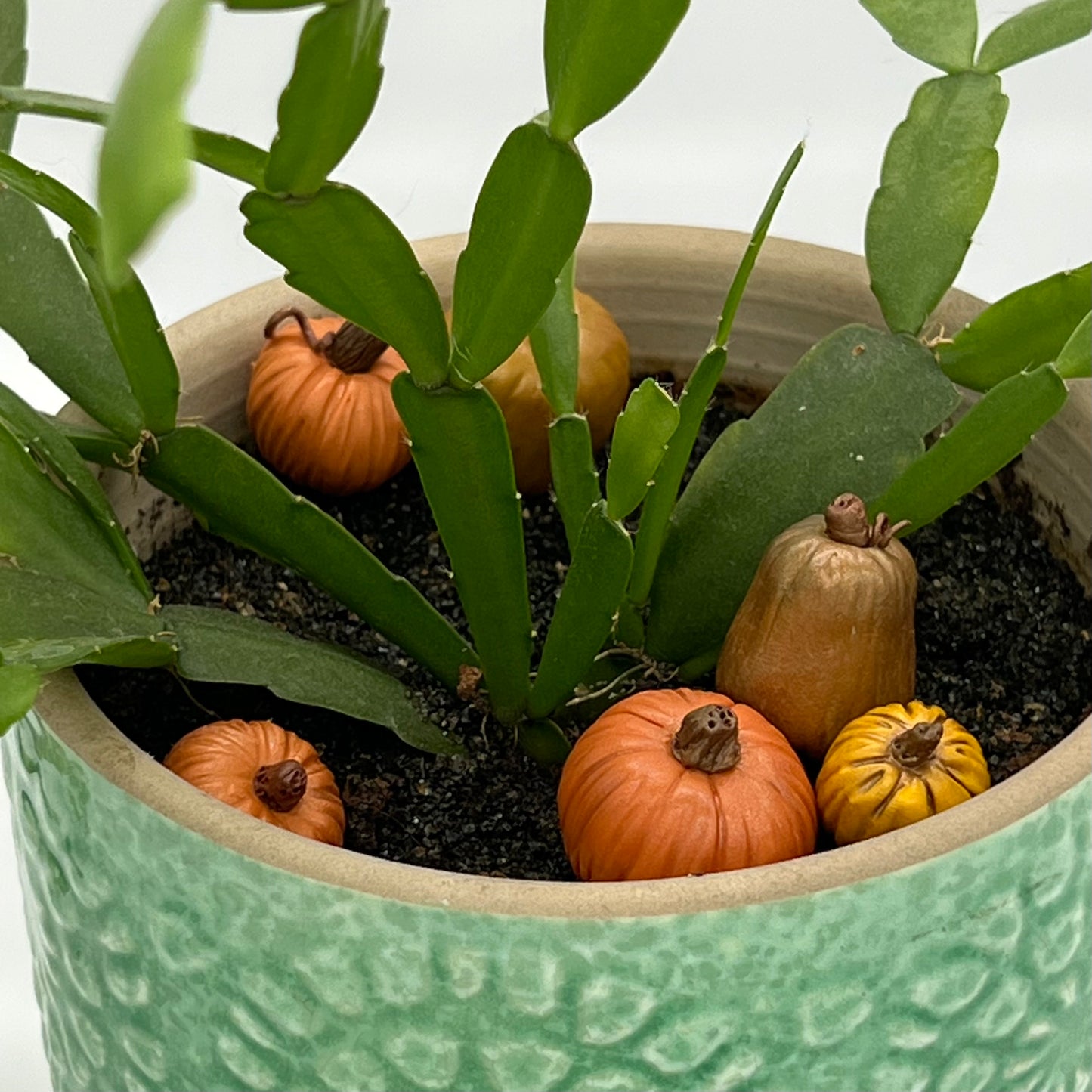 Pumpkins