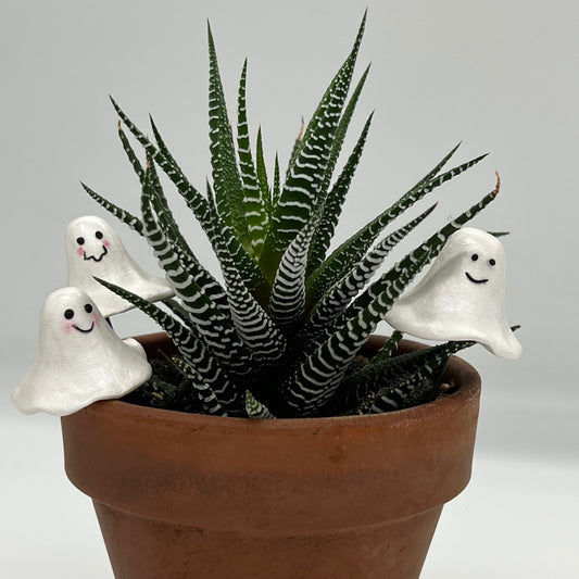 Friendly Ghosts